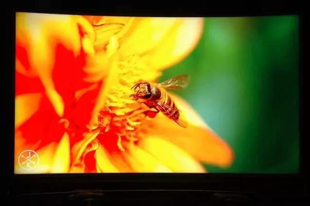 海信最新曲面电视,海信曲面屏电视怎么样