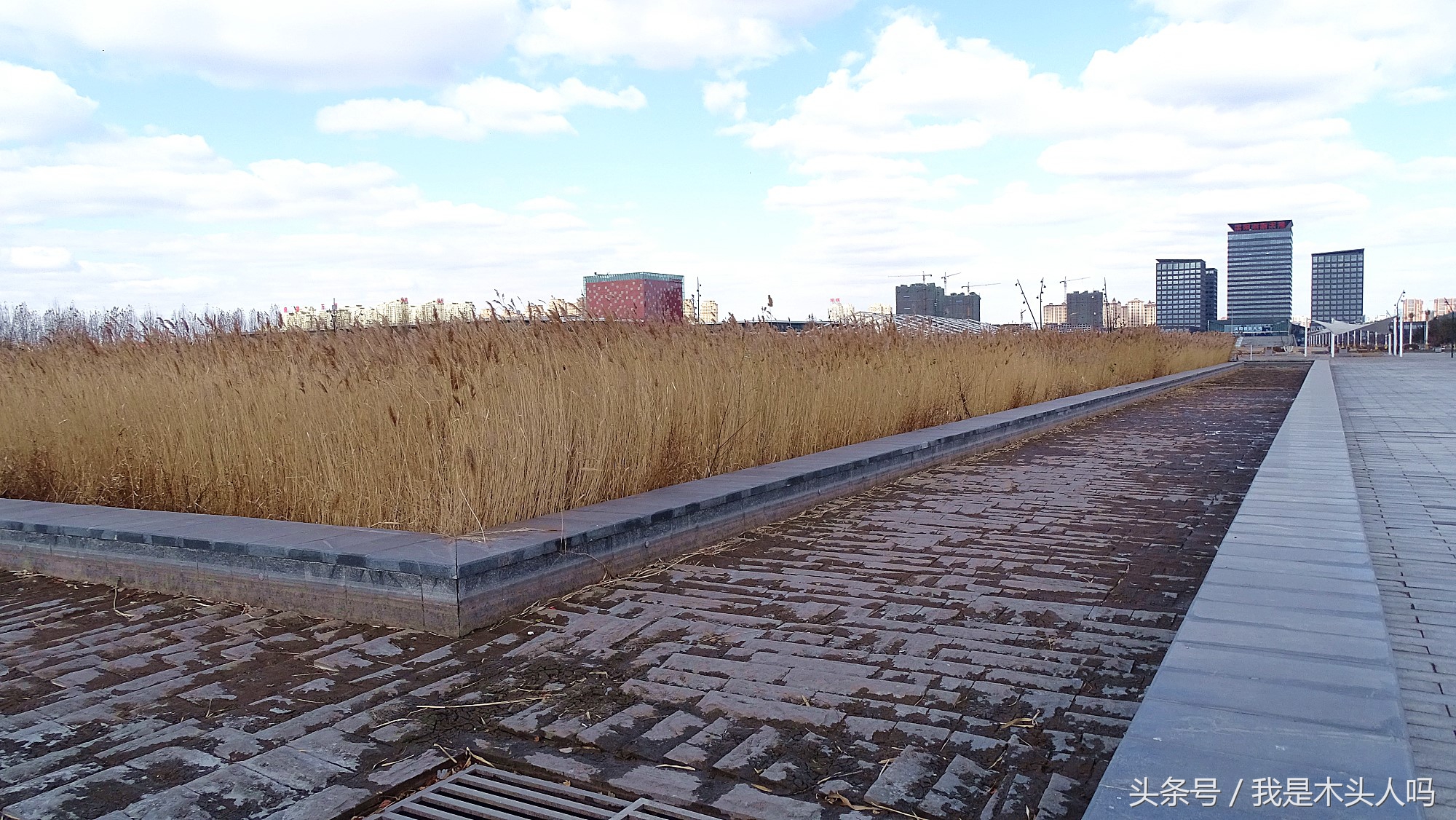 沈阳浑南创新天地,沈阳创新天地图片