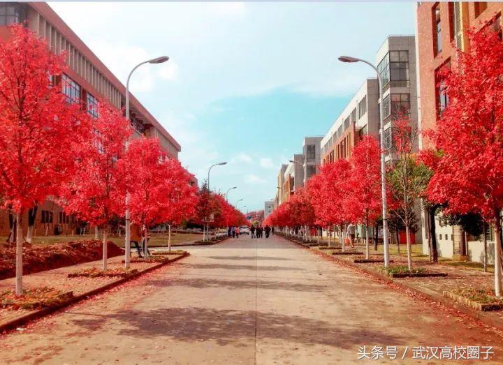 武汉大学和华中师大哪个女生漂亮,湖北女生最多的10所高校