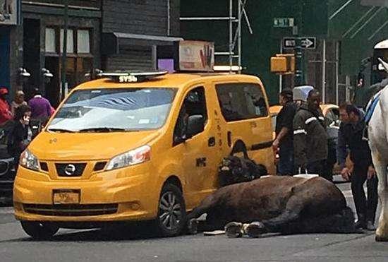 国外买车税是多少,国外买车都缴纳哪些税