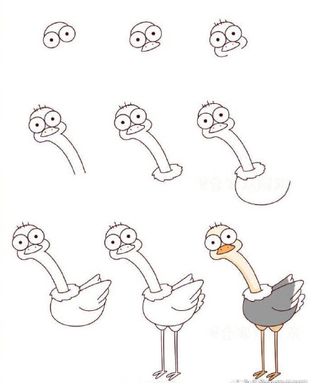 十种鸟类简笔画你看过吗？孔雀鸵鸟猫头鹰都在这里，快收藏教孩子