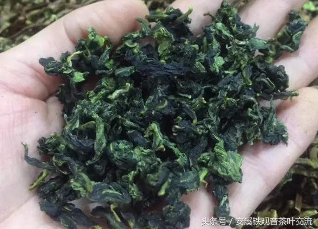 为什么有的铁观音喝着嘴里发涩,铁观音喝起来有酸涩感正常吗