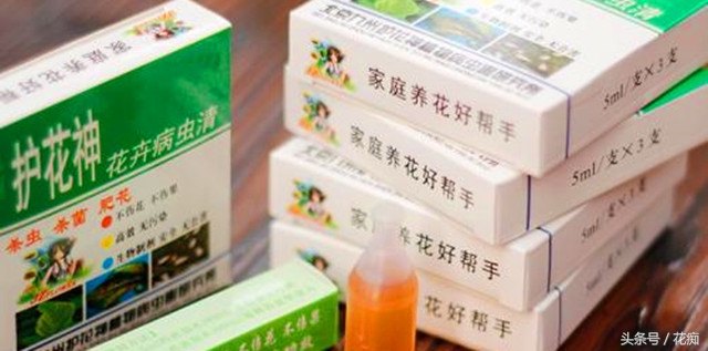 赶尽杀绝杀虫剂,如何赶尽杀绝白蚁