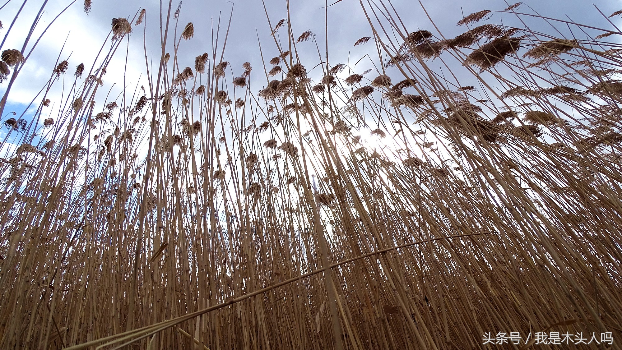 沈阳浑南创新天地,沈阳创新天地图片