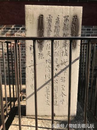 我印象最深的一次出游曲阜,难忘的旅行去曲阜