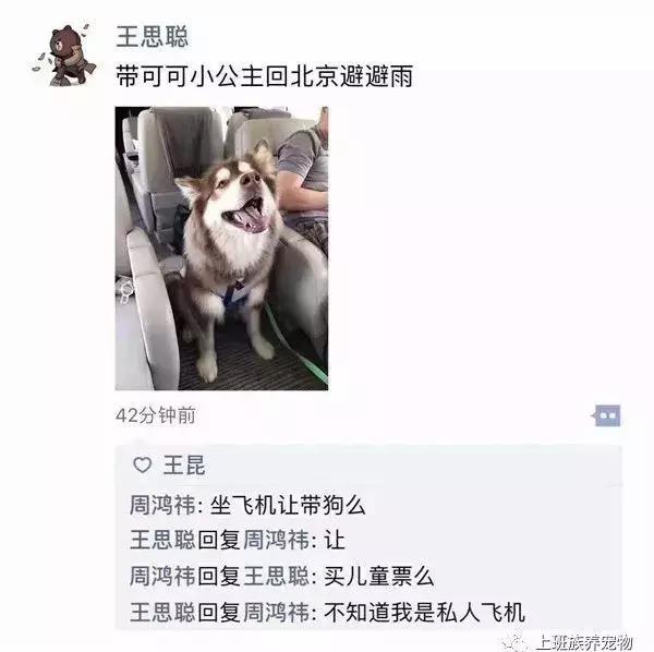 王思聪名媛女友,coco王思聪在一起过吗