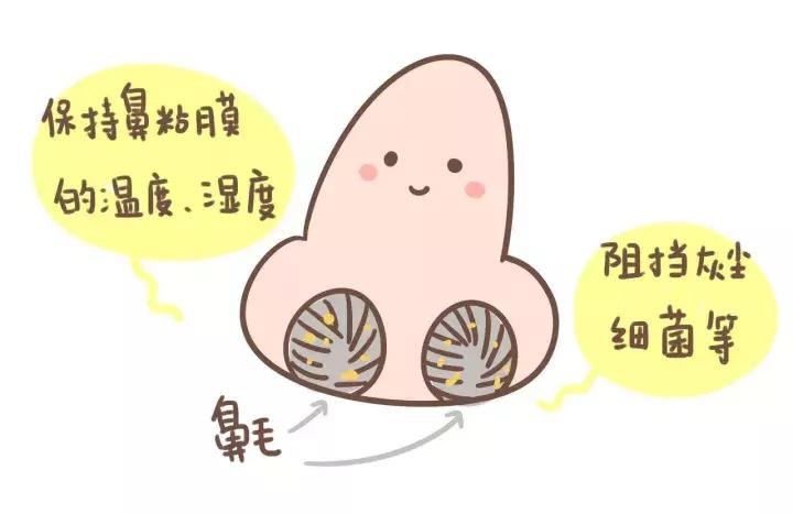 鼻炎漫画视频,过敏性鼻炎科普小视频漫画