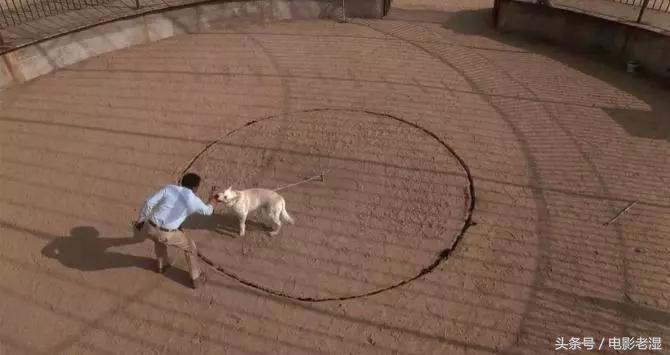 上百部高分恐怖片，全看完我敬你是条汉子（第二季）