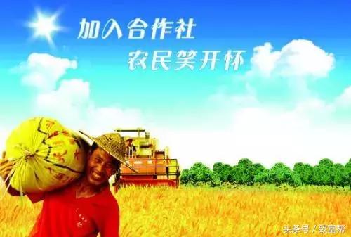 农业全程服务社会化,农业社会化服务获财政支持