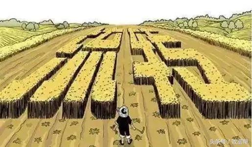 农业全程服务社会化,农业社会化服务获财政支持