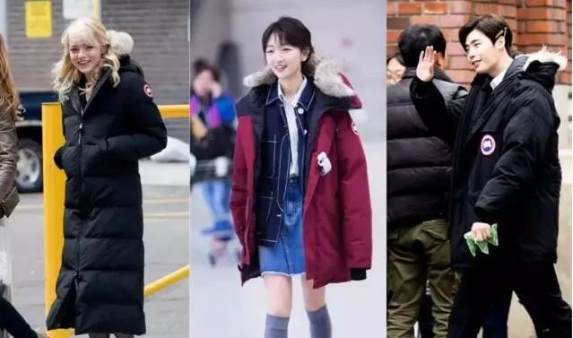 上万元的羽绒服是什么样的,上万元奢侈品羽绒服