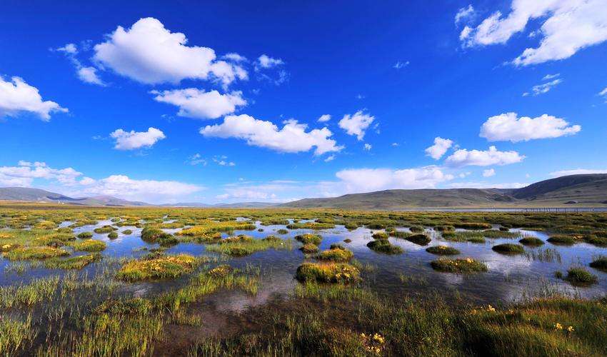 银川金凤区市民大厅咨询电话,宁夏回族自治区银川市金凤区邮编