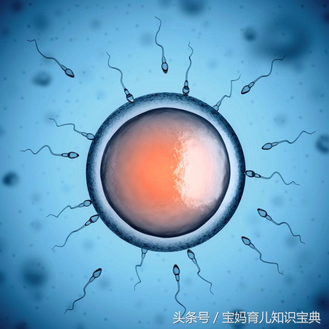 当受精卵成功着床时会有以下这几种感觉，备孕妈妈一定要多关注