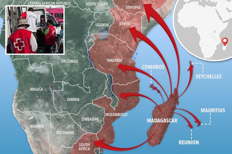 黑死病每次爆发感染人数,黑死病感染人数