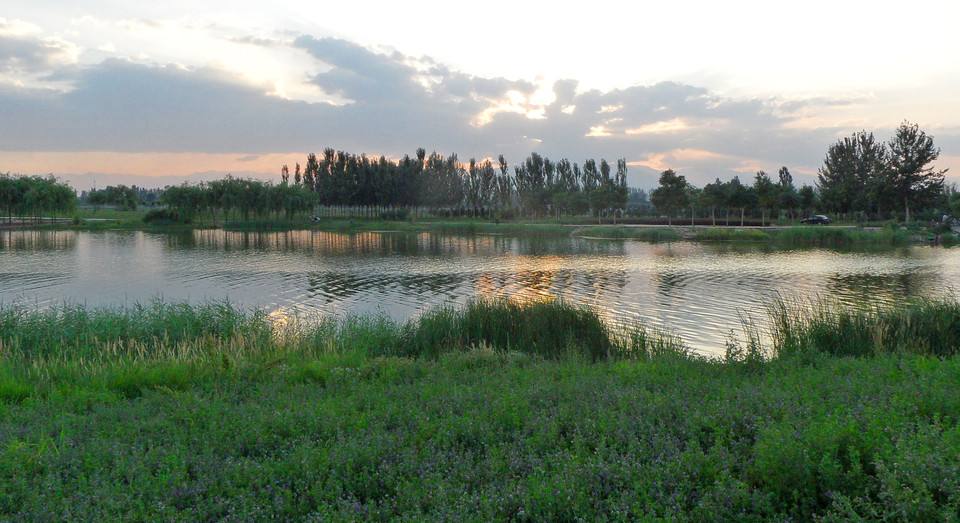 银川金凤区市民大厅咨询电话,宁夏回族自治区银川市金凤区邮编