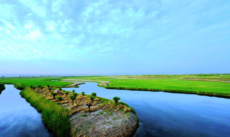 银川金凤区市民大厅咨询电话,宁夏回族自治区银川市金凤区邮编