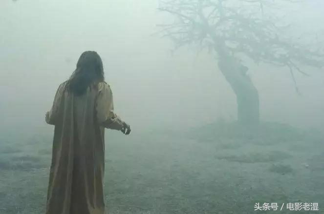 上百部高分恐怖片，全看完我敬你是条汉子（第二季）