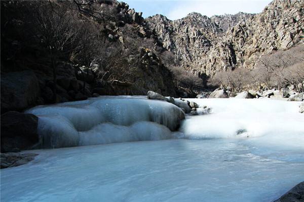 宁夏回族自治区银川市西夏区医院,宁夏回族自治区银川市西夏区疫情