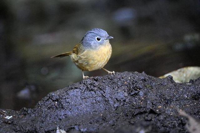 对看不惯的人远离,和看不惯的人生活在同一屋檐下