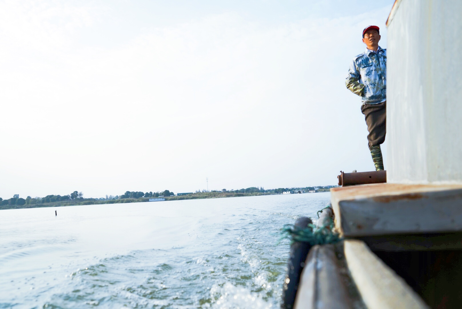 阳澄湖刚捞出来的螃蟹,阳澄湖大闸蟹现在能吃了吗