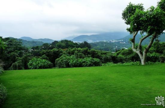 如果不是深扒了这些产品，你永远不知有钱人竟这么会玩