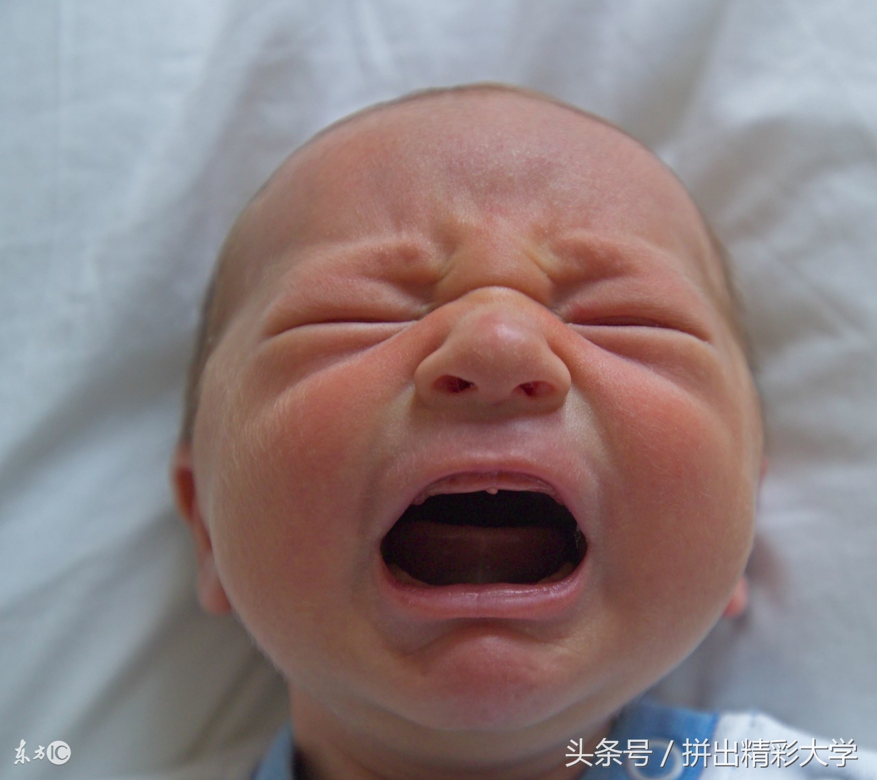 重庆方言吃饭怎么说,重庆各地方言吃怎么说