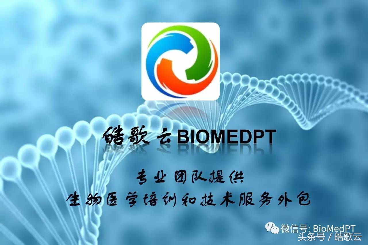 常用药英文翻译,医院抗菌药物使用总结