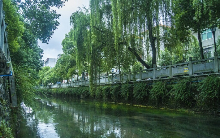 心灵美才是真的美,女性内在美才是真的美