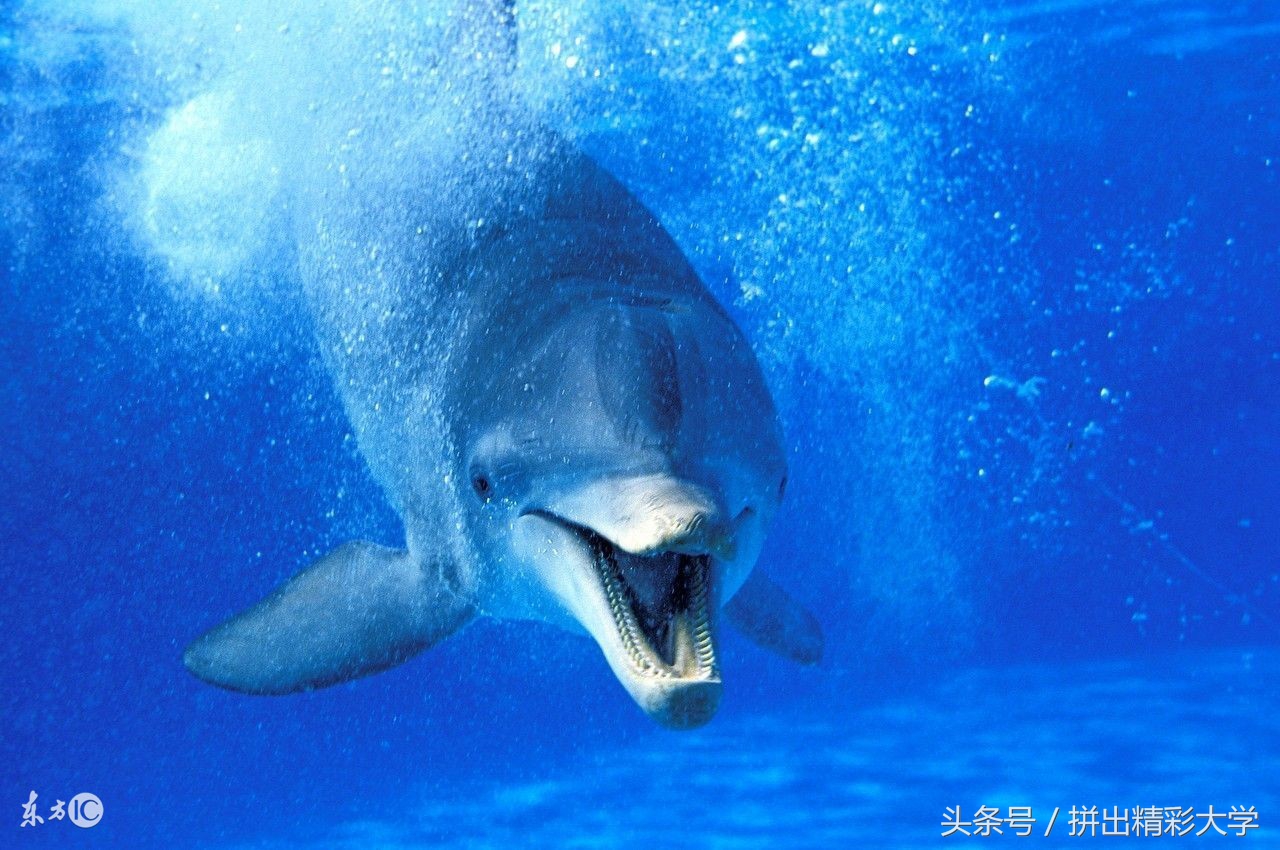 重庆方言吃饭怎么说,重庆各地方言吃怎么说