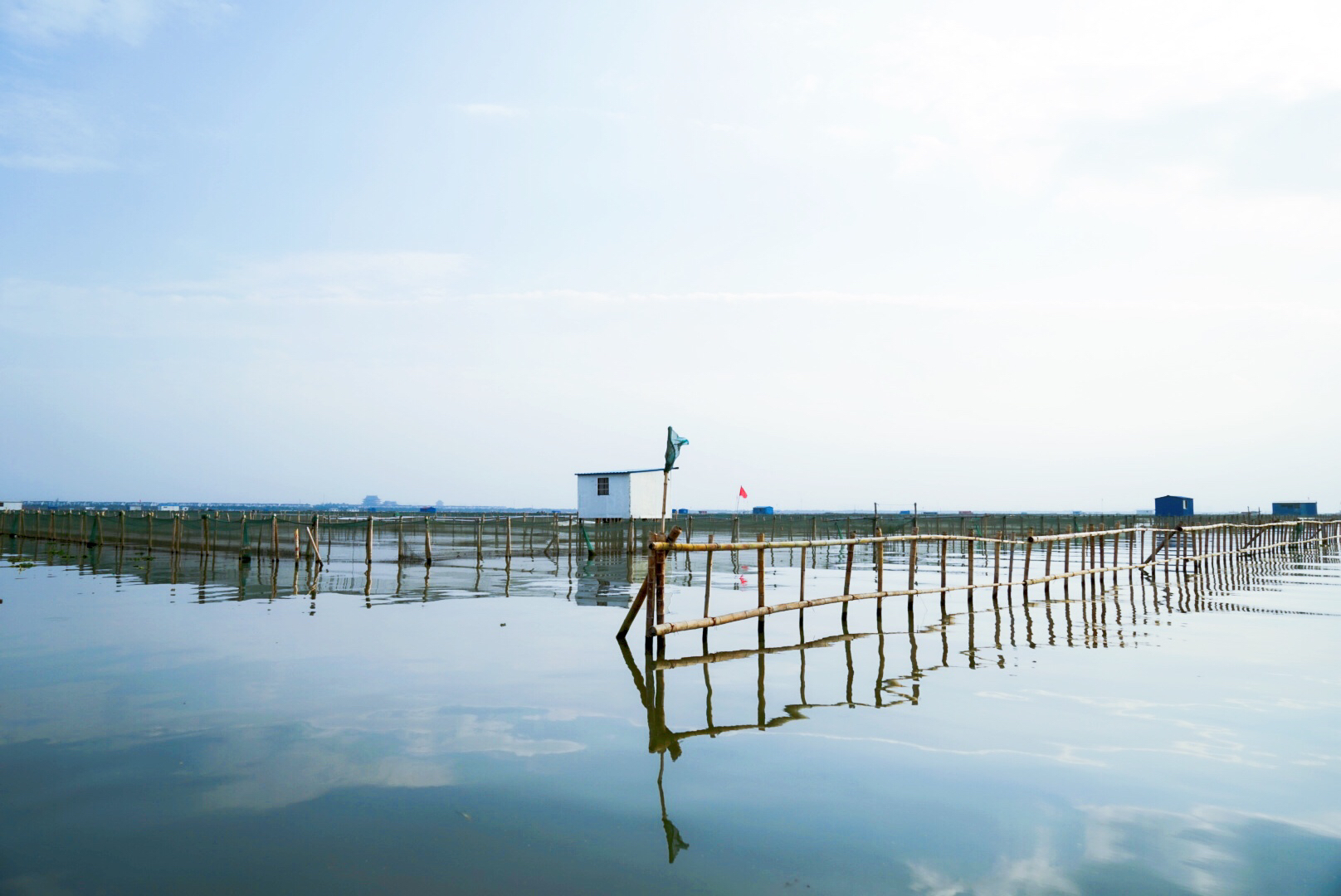 阳澄湖刚捞出来的螃蟹,阳澄湖大闸蟹现在能吃了吗