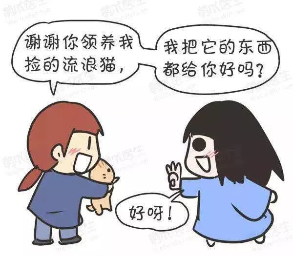 领养猫咪怎么看精神态势,领养猫咪如何知道乖不乖