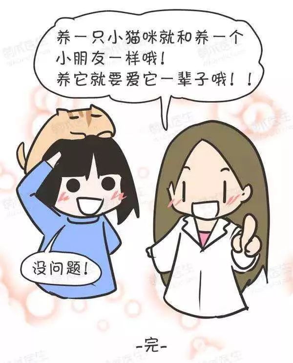 领养猫咪怎么看精神态势,领养猫咪如何知道乖不乖