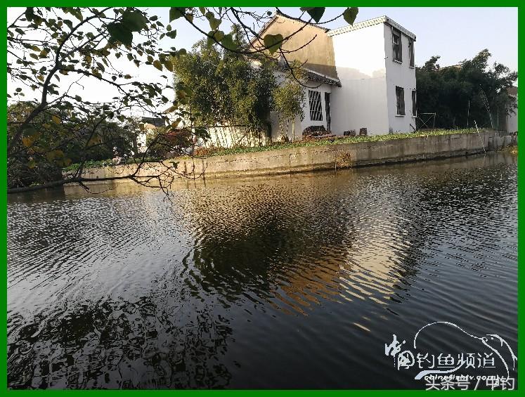 爽钓渔具,爽钓黄金版