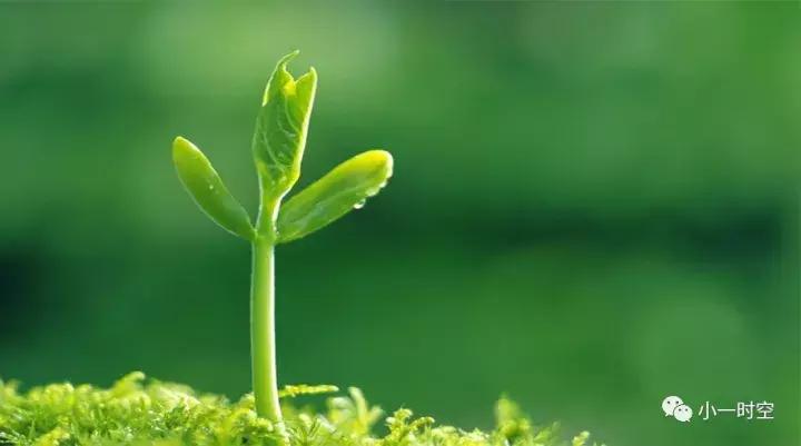 紫外线消毒灭菌关注事项,紫外线消毒和蒸汽消毒哪个更安全