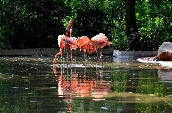 上海各个景点路线图,上海地铁沿线景点大全游上海必备