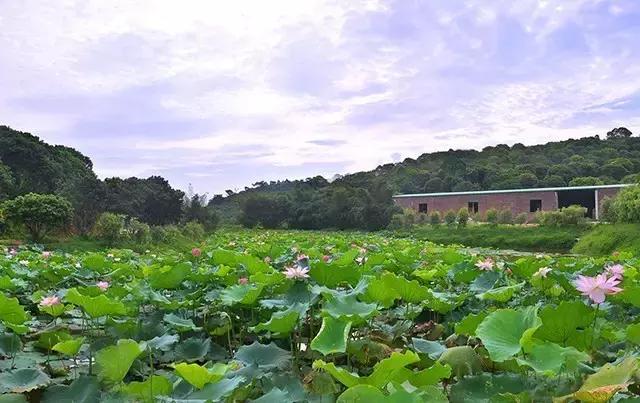 佛山地中海式《三水綠湖溫泉度假村》