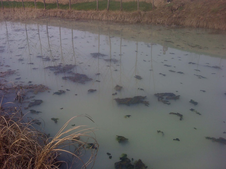 心灵美才是真的美,女性内在美才是真的美