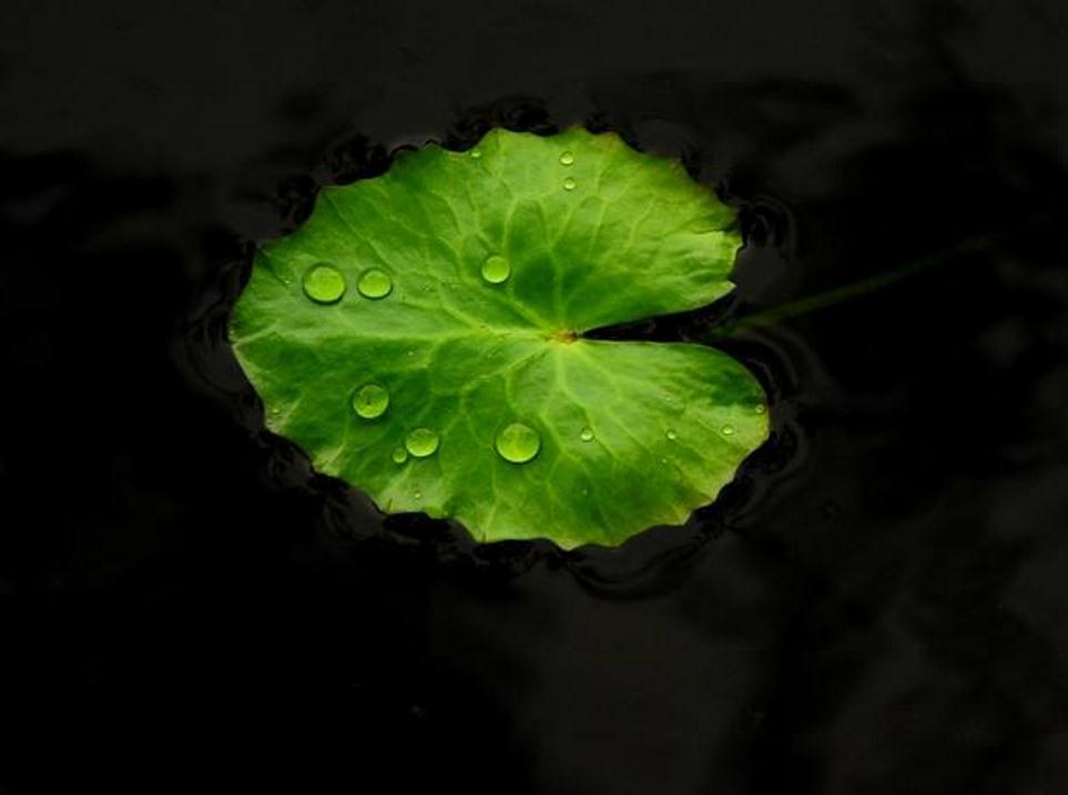 避免翻船通关,如何防止船舶翻船