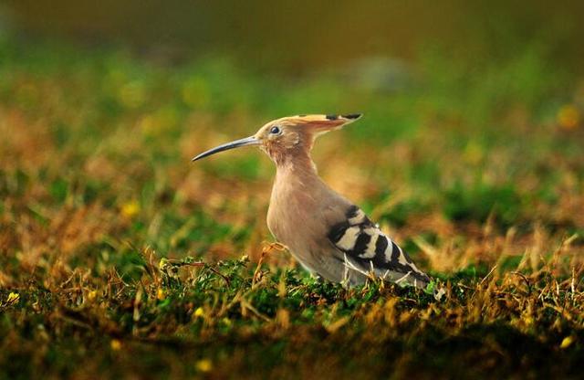 对看不惯的人远离,和看不惯的人生活在同一屋檐下