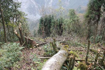 心灵美才是真的美,女性内在美才是真的美