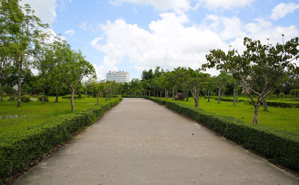 腰椎间盘突出脚麻可以练倒走吗,腰椎间盘突出可以倒着走路锻炼吗