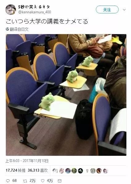 「不正确周报」第四十期：动物世界特辑：挂狗的求生之路