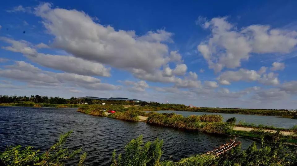 上海各个景点路线图,上海地铁沿线景点大全游上海必备
