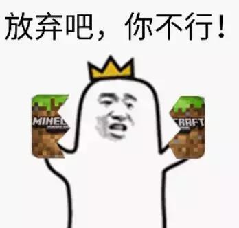 海外直邮ysl,阿玛尼1折