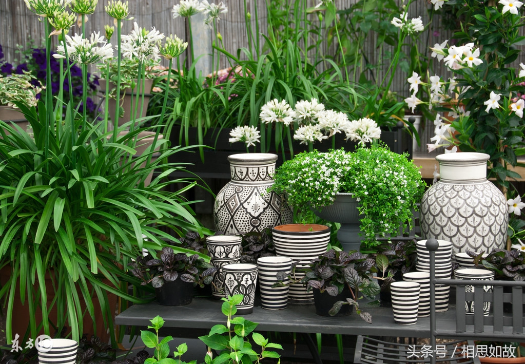 淘宝利润很吓人10个冷门创业项目,利润吓人的10个冷门创业项目