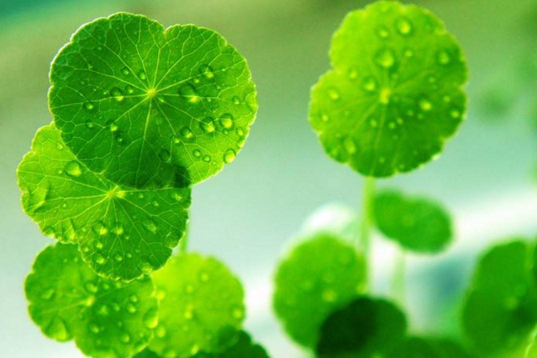 避免翻船通关,如何防止船舶翻船