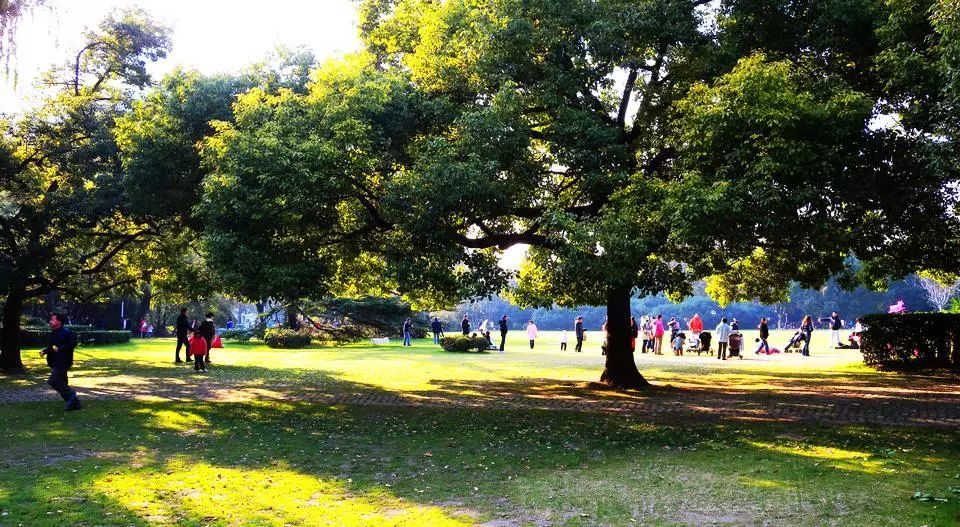 上海各个景点路线图,上海地铁沿线景点大全游上海必备