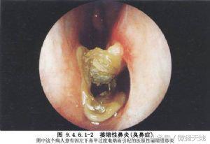 养猪技术手册四册,养猪手册从入门到精通