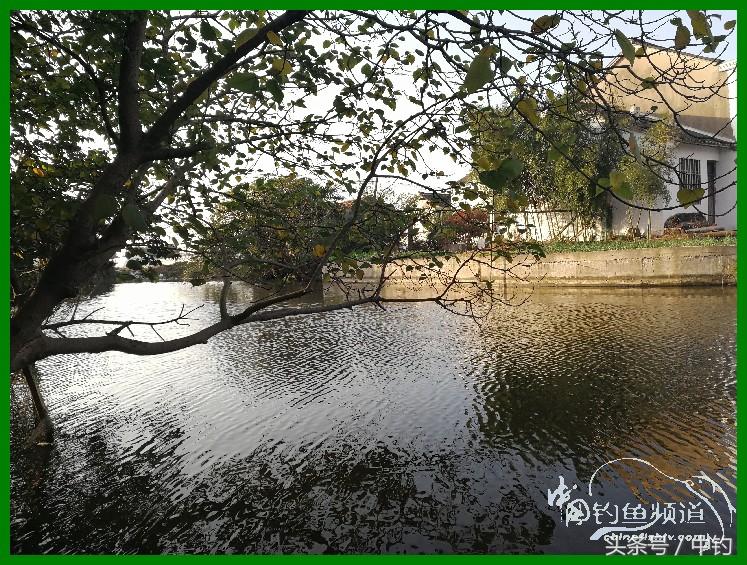 爽钓渔具,爽钓黄金版