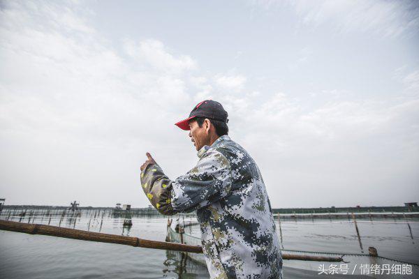 涨知识螃蟹的这几个地方不能吃,吃什么螃蟹不能吃什么